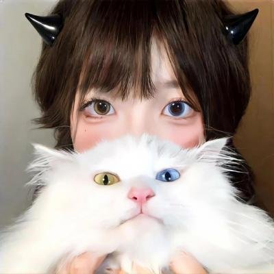 没有青春的青春海报